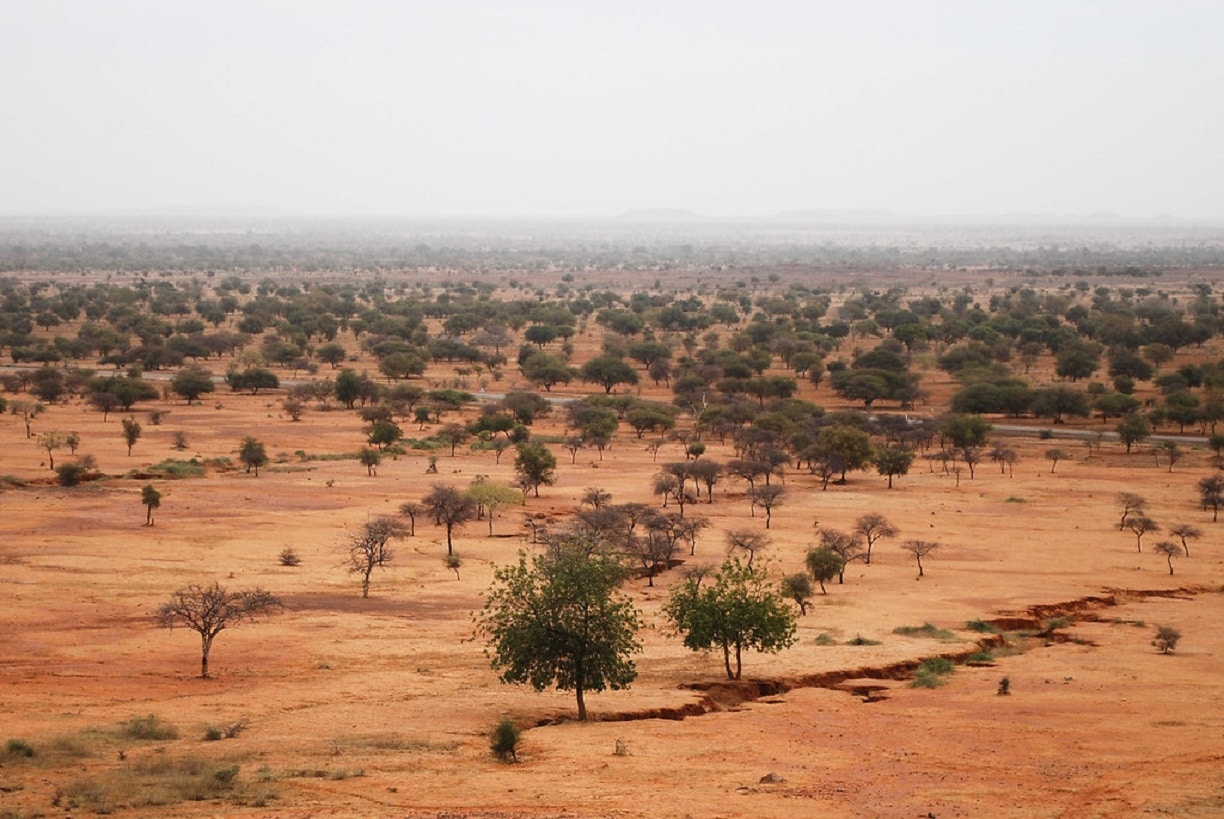 Sahel